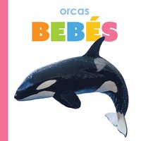 bokomslag Orcas Bebés: Spanish Edition