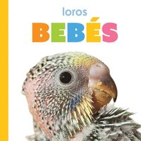bokomslag Loros Bebés: Spanish Edition
