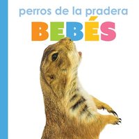 bokomslag Perros de la Pradera Bebés: Spanish Edition