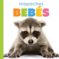 bokomslag Mapaches Bebés: Spanish Edition