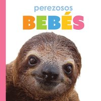 bokomslag Perezosos Bebés: Spanish Edition