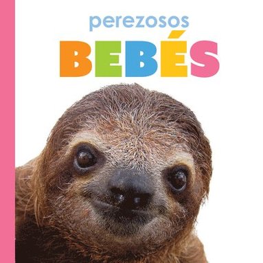 bokomslag Perezosos Bebés: Spanish Edition