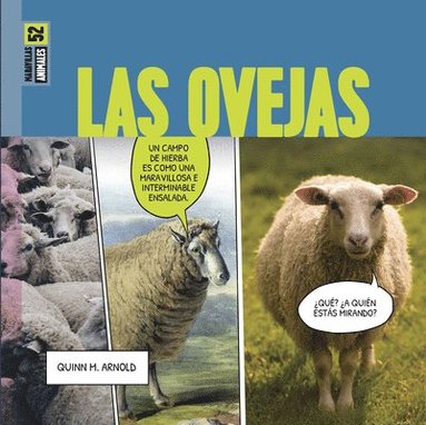 bokomslag Las Ovejas: Spanish Edition