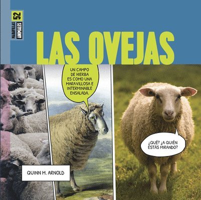 Las Ovejas: Spanish Edition