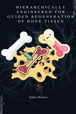 Hierarchically Engineered for Guided Regeneration of Bone Tissue 1