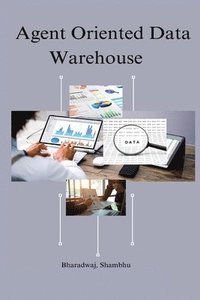 bokomslag Agent oriented data warehouse