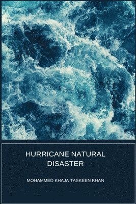 Hurricane Natural Disaster 1