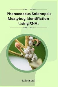 bokomslag Phenacoccus Solenopsis Mealybug Identification Using RNAi Target Screening