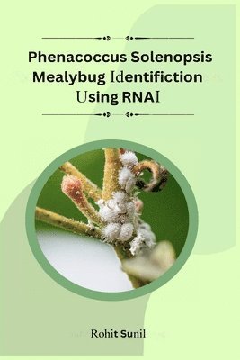 Phenacoccus Solenopsis Mealybug Identification Using RNAi Target Screening 1