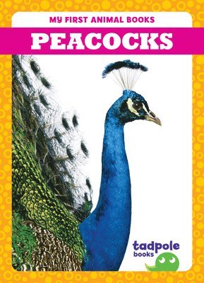 bokomslag Peacocks