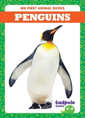 bokomslag Penguins