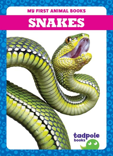 Natalie Deniston - Snakes, Inbunden