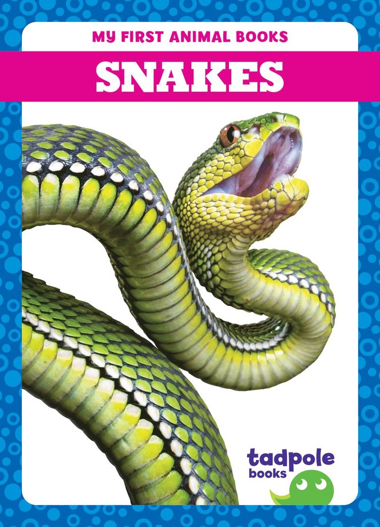 Snakes 1