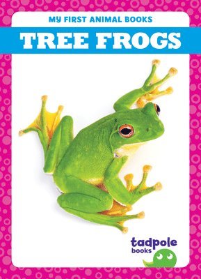 Tree Frogs 1