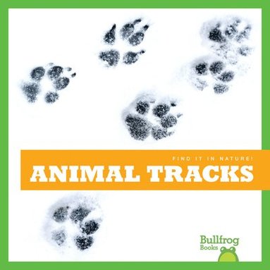 bokomslag Animal Tracks