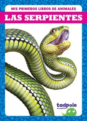 Las Serpientes (Snakes) 1