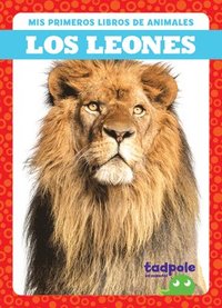 bokomslag Los Leones (Lions)