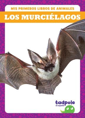 Los Murciélagos (Bats) 1