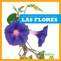bokomslag Las Flores (Flowers)