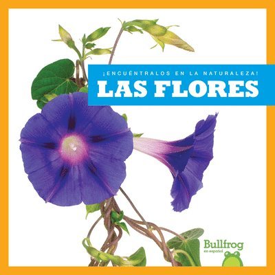 Jenna Lee Gleisner - Las Flores (Flowers), Häftad
