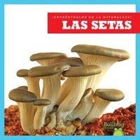 bokomslag Las Setas (Mushrooms)