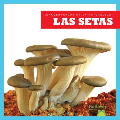 Las Setas (Mushrooms) 1