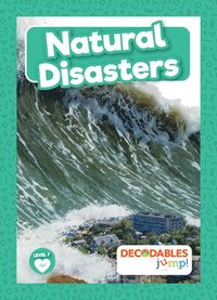 bokomslag Natural Disasters