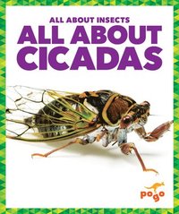 bokomslag All about Cicadas