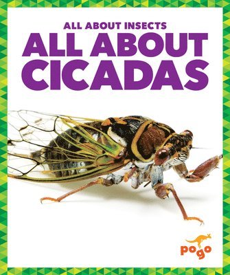bokomslag All about Cicadas