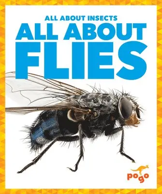 Golriz Golkar - All about Flies, Inbunden. Tillgänglighet: Lägg i varukorg