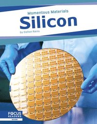 bokomslag Silicon