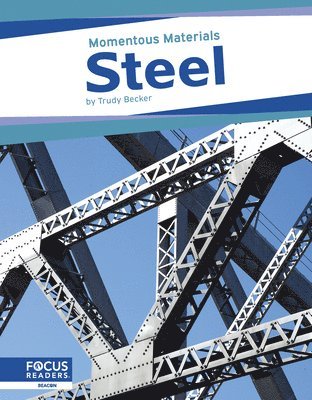 bokomslag Steel