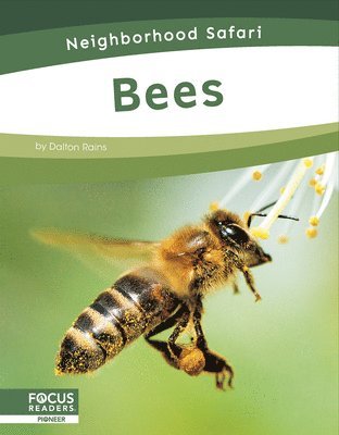 bokomslag Bees