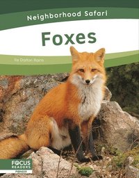 bokomslag Foxes