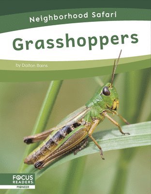 bokomslag Grasshoppers