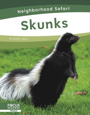 Skunks 1