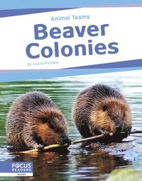 bokomslag Animal Teams: Beaver Colonies