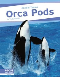 bokomslag Animal Teams: Orca Pods