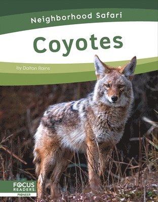 bokomslag Neighborhood Safari: Coyotes