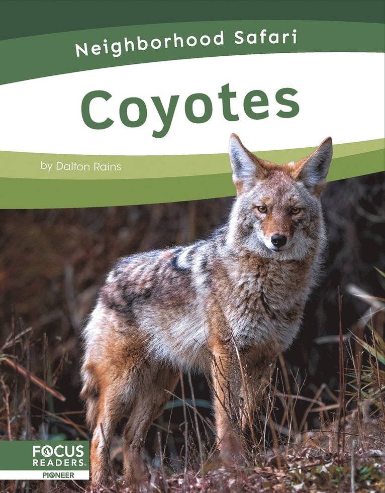 Dalton Rains - Coyotes, Häftad