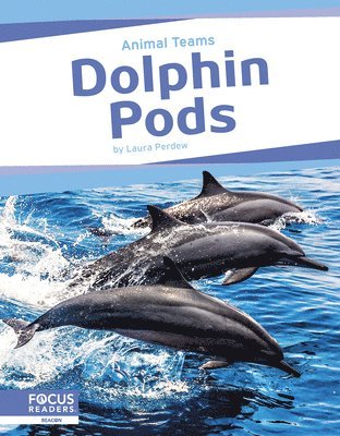 bokomslag Dolphin Pods