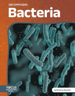 Bacteria 1