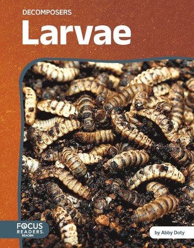 bokomslag Larvae