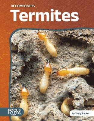 Termites 1