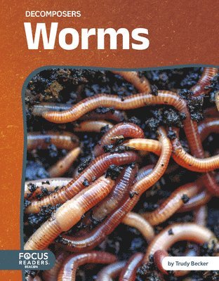 bokomslag Worms