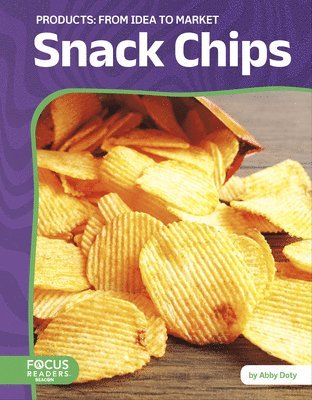 Snack Chips: From Idea to Market 1