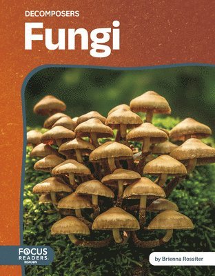 bokomslag Fungi