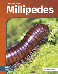 bokomslag Millipedes