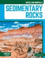 Trudy Becker - Sedimentary Rocks, Häftad. Tillgänglighet: Kommande