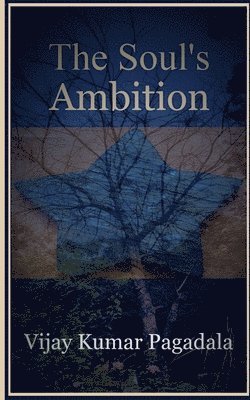 bokomslag Soul's Ambition
